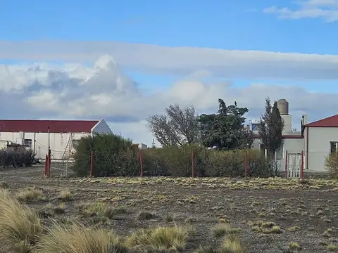 Venta campo Ruta Nacional 3, productivo