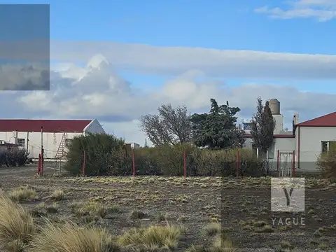Venta campo Ruta Nacional 3, productivo