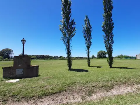 Terreno en Venta 40  mts Frente