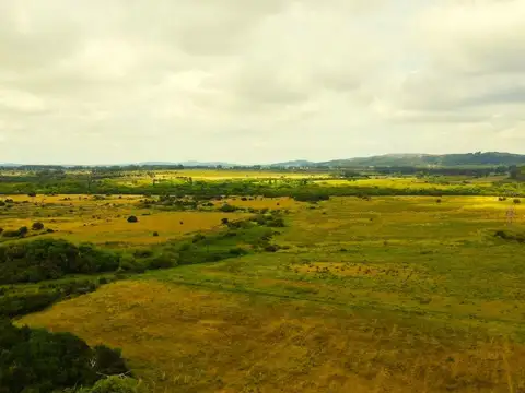 Ruta 9 y 5kms de camino vecinal 100