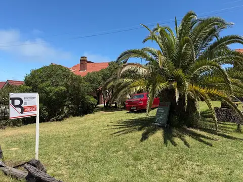 Nuestras malvina y del lido