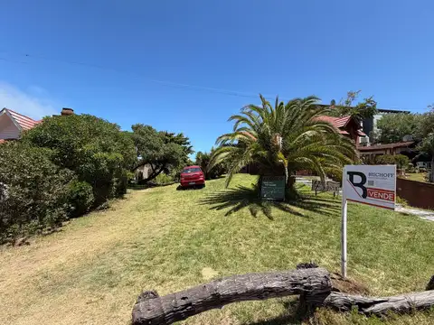 Nuestras malvina y del lido