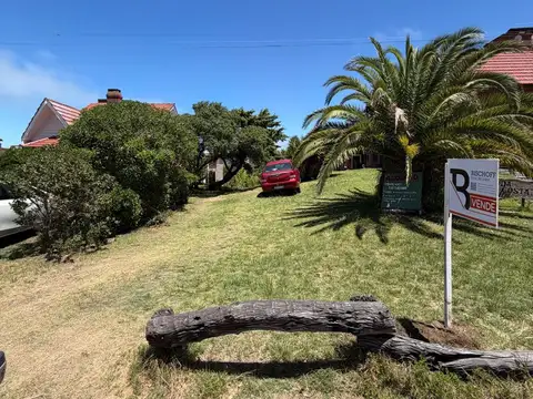 Nuestras malvina y del lido