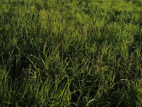 Terreno en Venta en Parana, USD 12.000
