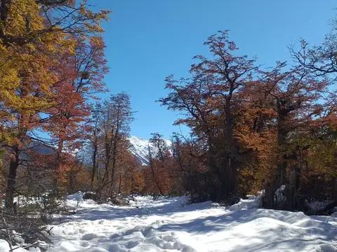 Terreno en Venta en Parque Nacional Los Alerces, USD 900.000