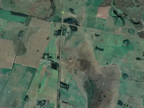 Terreno en venta - 3 Hectáreas - Alegre