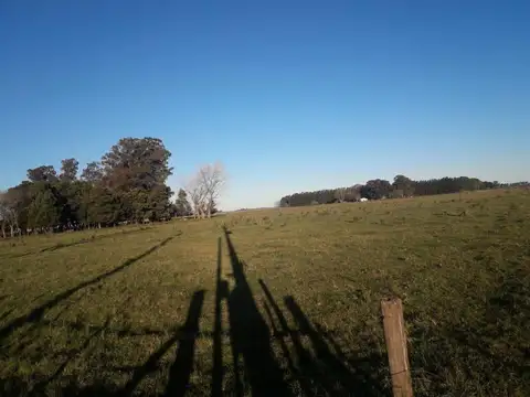 Ruta Provincial 29, KM 28,5