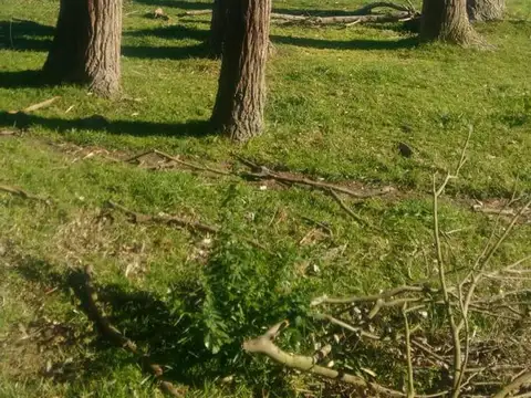 Terreno en Venta en Alegre, USD 59.000