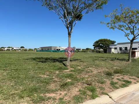 Santa Elena 100