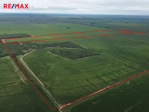 VENTA CAMPO 140 HAS SOBRE RUTA 36 ALMAFUERTE CBA