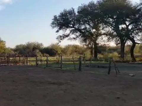 Campo en Venta de 1.000  ha