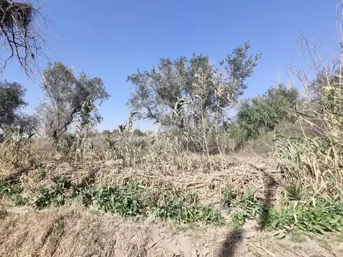 Terreno en Venta en El Borbollon, USD 50.000