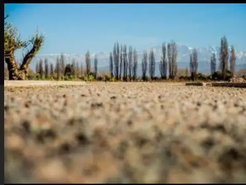 Terreno en Venta de 200,0 m2