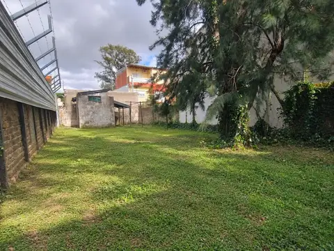 Yapeyu 100