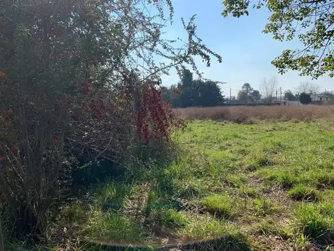 Terreno en Venta de 42045,0 m2