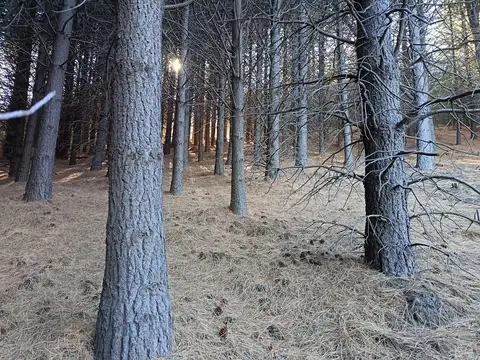 Chapelco Golf  & Resort 200
