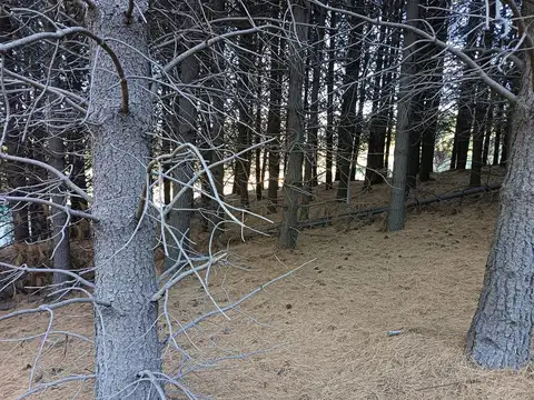 Terreno en Venta de 2403,0 m2