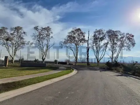 Terreno en Venta de 635,0 m2