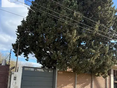 sanchez de bustamente al 2414