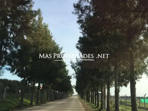 Venta Lote interno en San Simon Canning