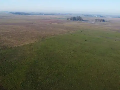Campo en  Del Carril