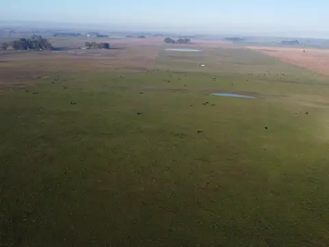Camino Rural S/N