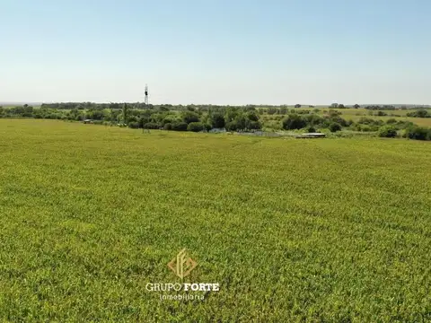 Campo En Venta Despeñaderos