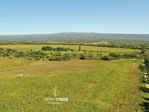 Los Molinos