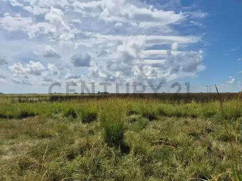 Campo ganadero de 90 hectáreas en Recalde, Olavarría