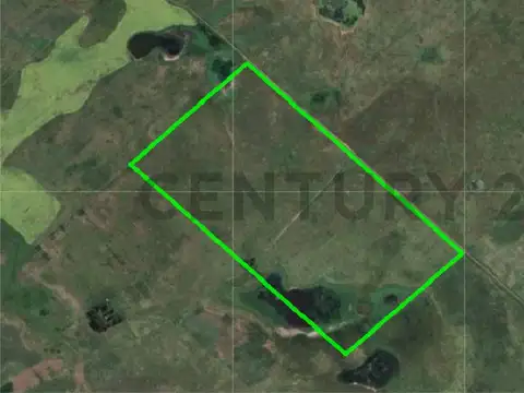 Campo ganadero de 90 hectáreas en Recalde, Olavarría