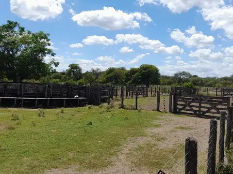 Campo en Venta de 2.110  ha