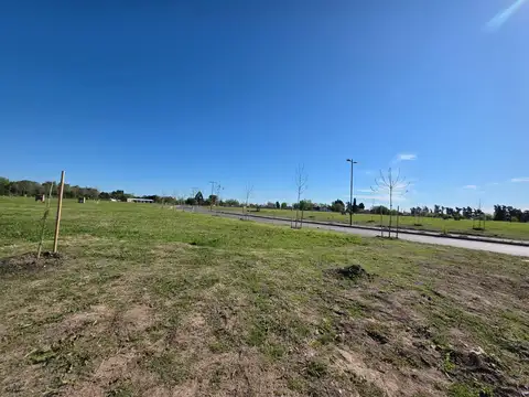 Dr. Manuel Argerich 1200