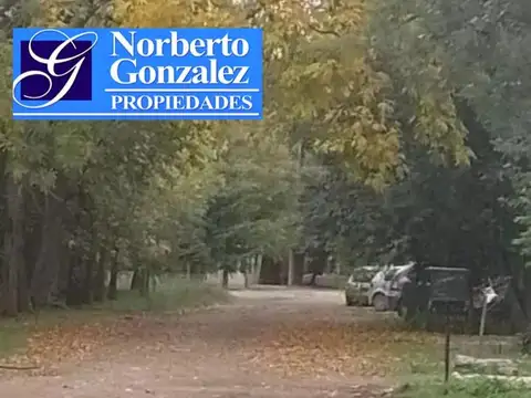 Segundo Sombra y los recuerdo