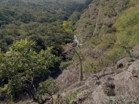 Campo en Venta Ganadero