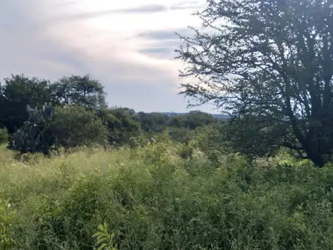 Campo en Venta de 600  ha