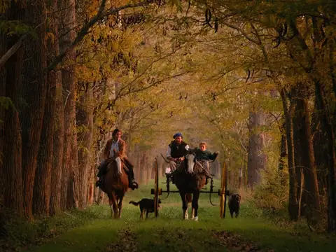 VENTA CHACRAS y CASAS en BENQUERENCIA