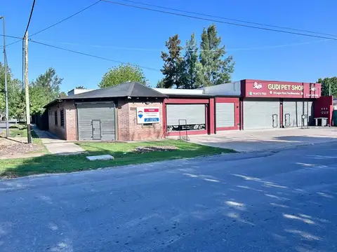 VENTA LOCALES EN EL PATO