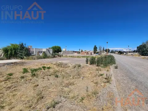 Isadora P. Bruno al 100