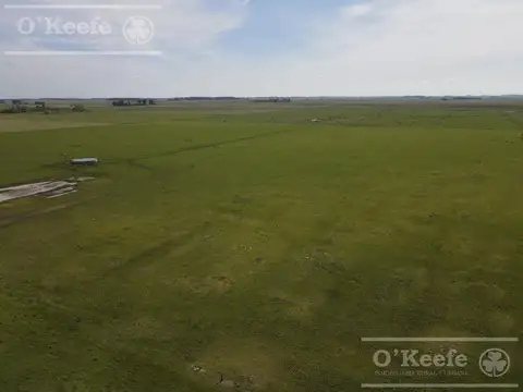 CAMPO MIXTO EN VENTA DE 200 HAS - FACIL ACCESO , CERCA DE BS.AS. - CHASCOMUS