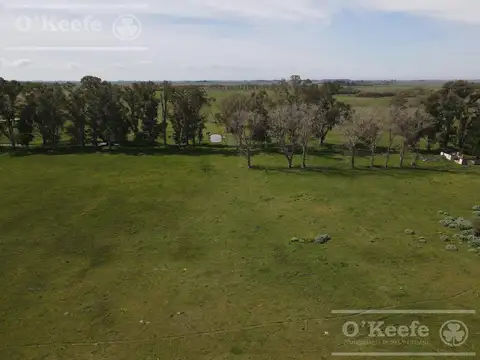 CAMPO MIXTO EN VENTA DE 200 HAS - FACIL ACCESO , CERCA DE BS.AS. - CHASCOMUS