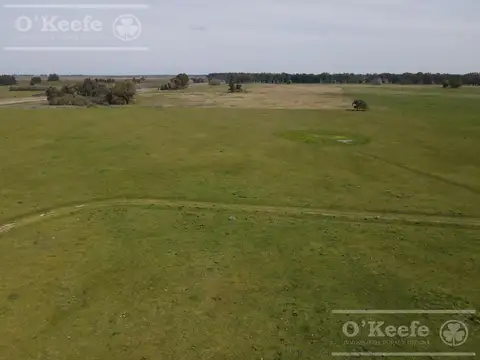 CAMPO MIXTO EN VENTA DE 200 HAS - FACIL ACCESO , CERCA DE BS.AS. - CHASCOMUS