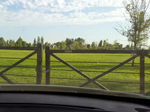 Loma Escondida