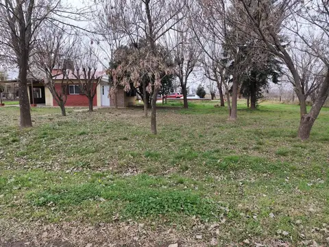 VENTA - QUINTA SOBRE AMPLIO TERRENO - RICARDONE