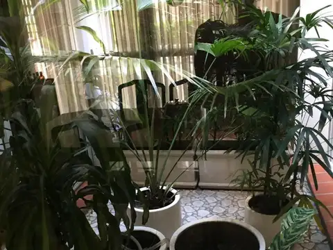 Casa en Venta con 4 cocheras