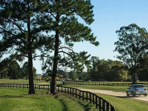 Terreno en Venta de 22739,0 m2