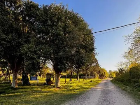 Terreno en Venta 48  mts Frente