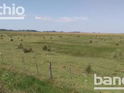 200 HA MIXTAS IRIGOYEN