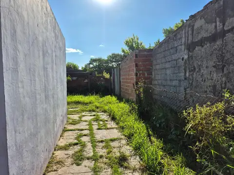 Ameghino 509 , Piso PB