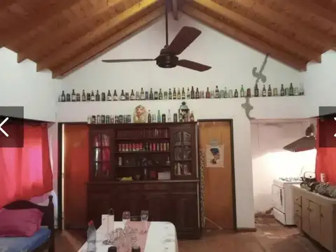 Alberti 800