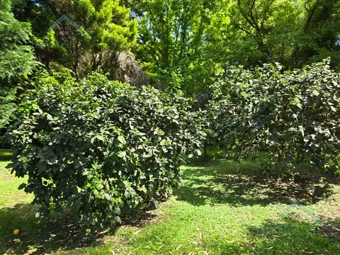 Terreno en Carlos Keen